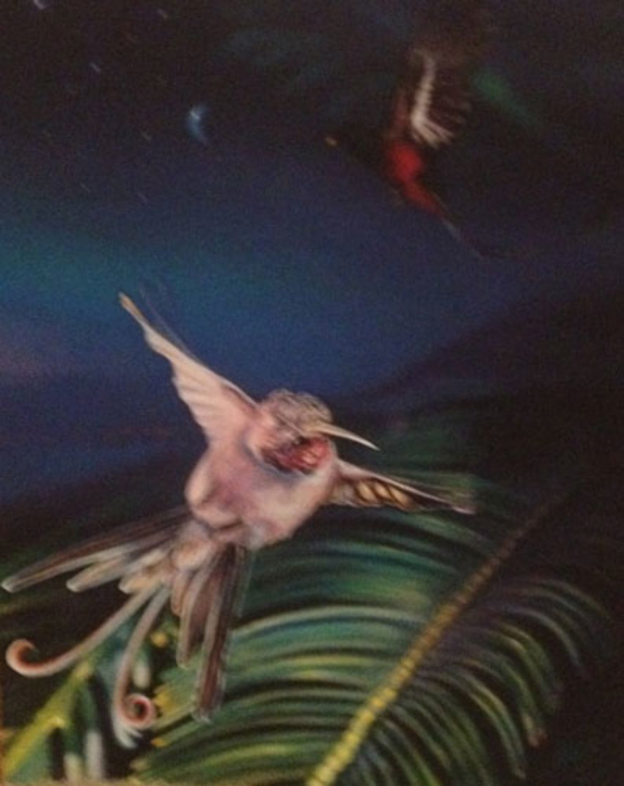 Hummingbird PP 1997 Limited Edition Print by Brett Livingstone Strong Hummingbird PP 1997 Limited Edition Print by Brett Livingstone Strong