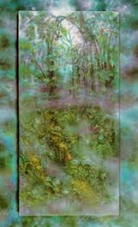 Emerald Rain Forest PP 1990 Limited Edition Print - Brett Livingstone Strong Emerald Rain Forest PP 1990 Limited Edition Print - Brett Livingstone Strong