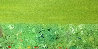 Green Horizon 2014 16x68  Huge - Mural Size Original Painting by Eduardo Suarez Uribe-Holguin - 0