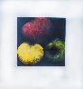 Apples 1989 Limited Edition Print by Donald Sultan - 1