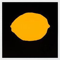 Four Lemons Suite of 4 2018 Limited Edition Print by Donald Sultan - 3 Four Lemons Suite of 4 2018 Limited Edition Print by Donald Sultan - 3