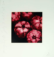 Pomegranates 1994 Limited Edition Print by Donald Sultan - 1 Pomegranates 1994 Limited Edition Print by Donald Sultan - 1