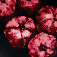Pomegranates 1994 Limited Edition Print by Donald Sultan - 0