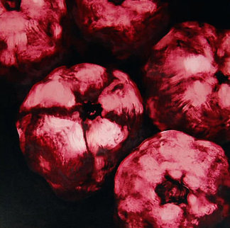 Pomegranates 1994 Limited Edition Print - Donald Sultan Pomegranates 1994 Limited Edition Print - Donald Sultan