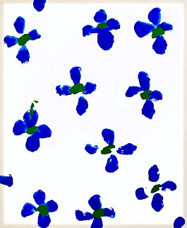 From Wall Flower Suite 2008 Limited Edition Print - Donald Sultan From Wall Flower Suite 2008 Limited Edition Print - Donald Sultan