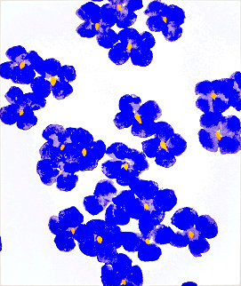 From Wall Flower Suite 2008 Limited Edition Print - Donald Sultan From Wall Flower Suite 2008 Limited Edition Print - Donald Sultan