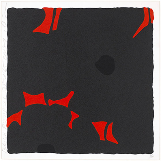Black Poppies, April 25, 2007 Limited Edition Print by Donald Sultan Black Poppies, April 25, 2007 Limited Edition Print by Donald Sultan