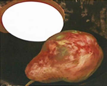 2 Pears, a Lemon, and a Egg 1994 Limited Edition Print - Donald Sultan 2 Pears, a Lemon, and a Egg 1994 Limited Edition Print - Donald Sultan