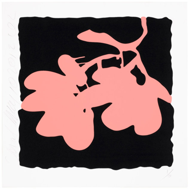 Eight Lantern Flowers, Suite of 8 Silkscreen Prints 2012 Limited Edition Print by Donald Sultan