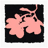 Eight Lantern Flowers, Suite of 8 Silkscreen Prints 2012 Limited Edition Print by Donald Sultan - 0