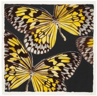 Monarch Butterflies  2006 Limited Edition Print - Donald Sultan