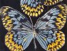 Butterflies - Monarch 2006 Limited Edition Print by Donald Sultan - 1