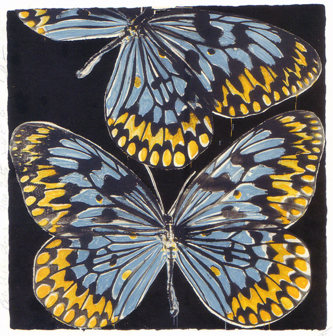 Butterflies - Monarch 2006 Limited Edition Print by Donald Sultan