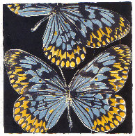 Butterflies - Monarch 2006 Limited Edition Print by Donald Sultan - 0 Butterflies - Monarch 2006 Limited Edition Print by Donald Sultan - 0