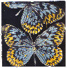 Butterflies - Monarch 2006 Limited Edition Print by Donald Sultan - 0