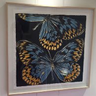Butterflies - Monarch 2006 Limited Edition Print by Donald Sultan - 1 Butterflies - Monarch 2006 Limited Edition Print by Donald Sultan - 1