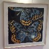 Butterflies - Monarch 2006 Limited Edition Print by Donald Sultan - 3