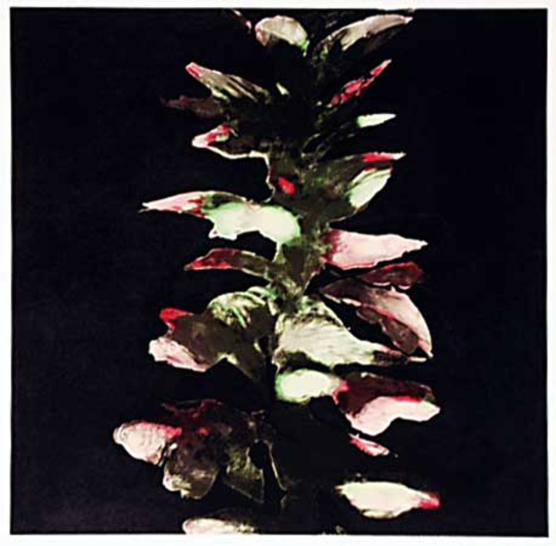 Acanthus 1994 Limited Edition Print by Donald Sultan