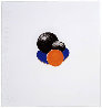 Five Objects Suite of 4 1999 Limited Edition Print by Donald Sultan - 1 Five Objects Suite of 4 1999 Limited Edition Print by Donald Sultan - 1
