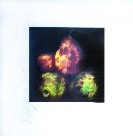 Pears Set of 4 Prints 1989 Limited Edition Print by Donald Sultan - 4 Pears Set of 4 Prints 1989 Limited Edition Print by Donald Sultan - 4