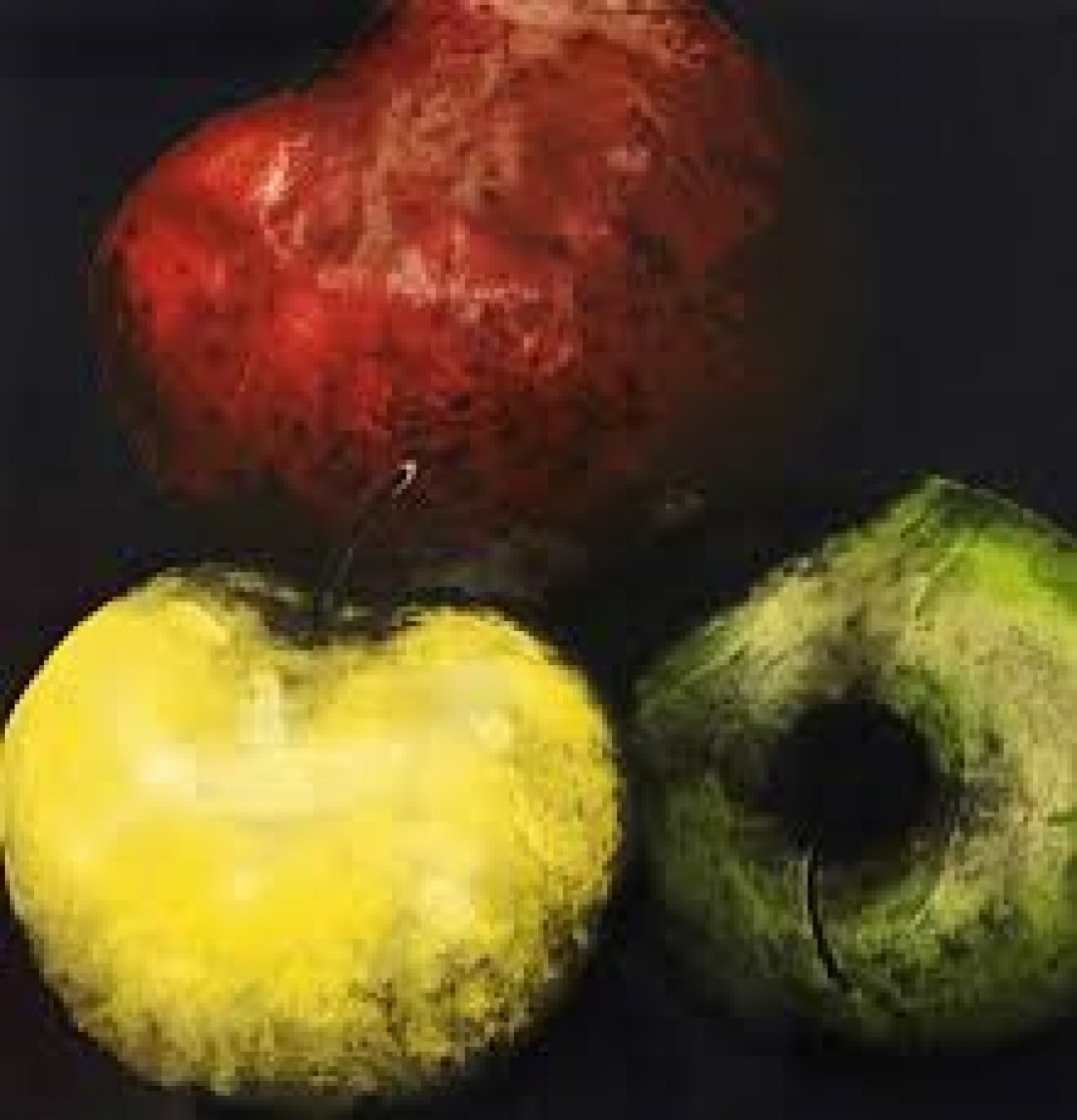 Pears Set of 4 Prints 1989 Limited Edition Print by Donald Sultan Pears Set of 4 Prints 1989 Limited Edition Print by Donald Sultan
