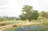 Untitled Valley View 1980 33x44 - Huge Original Painting by Charles Summey - 0
