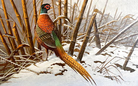 Winter Pheasant 1990 32x46 - Huge Original Painting - Charles Summey