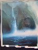 Kauai Falls - Hawaii Limited Edition Print by George Sumner - 2