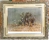 Untitled Elephant Portrait Limited Edition Print by Gary Swanson - 1