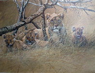Official World Wildlife Portfolio Of Big Game Art Limited Edition Print by Gary Swanson - 0