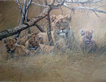 Official World Wildlife Portfolio Of Big Game Art - 10 Pc Suite Limited Edition Print - Gary Swanson