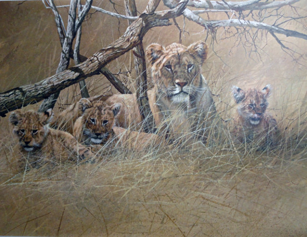 Official World Wildlife Portfolio Of Big Game Art - 10 Pc Suite by 