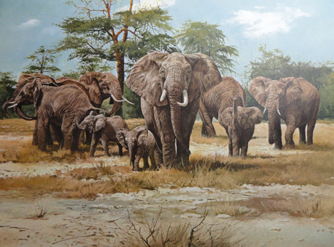Official World Wildlife Portfolio Of Big Game Art - 10 Pc Suite 1975 Limited Edition Print - Gary Swanson