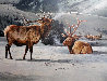 Official World Wildlife Portfolio Of Big Game Art - 10 Pc Suite 1975 Limited Edition Print by Gary Swanson - 3