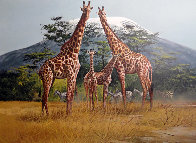 Official World Wildlife Portfolio Of Big Game Art Limited Edition Print by Gary Swanson - 6