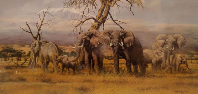 Monarchs of the Kenyan Plains 1987 Limited Edition Print by Gary Swanson