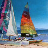 Catamarans in the Sun 1993 50x40 Original Painting by Tom Swimm - 0