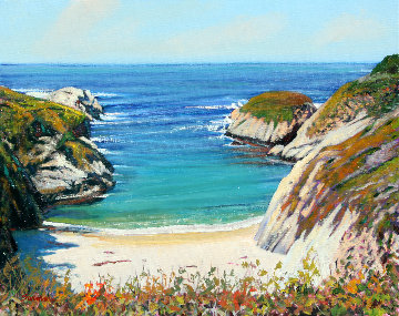 Above China Cove 2012 24x30 Original Painting - Tom Swimm Above China Cove 2012 24x30 Original Painting - Tom Swimm