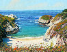 Above China Cove 2012 24x30 Original Painting by Tom Swimm - 0