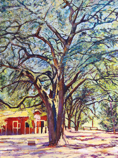 Sonoma Oak 2019 40x30 Huge - California  Original Painting - Tom Swimm