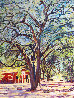 Sonoma Oak 2019 40x30 Huge - California  Original Painting by Tom Swimm - 0