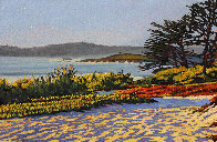 Carmel Memories 2020 33x45 Huge - California Original Painting by Tom Swimm - 2