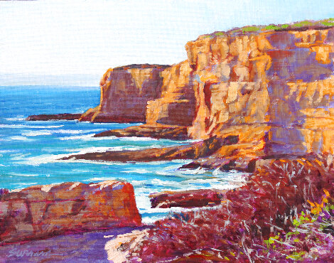 Cliff Shadows 2018 18x22 - San Diego, California Original Painting - Tom Swimm