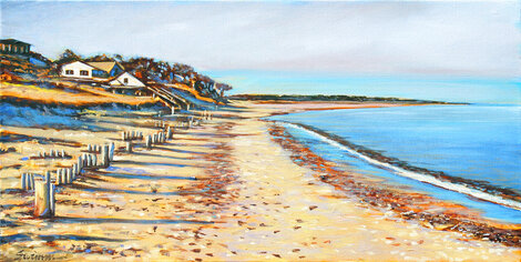 Brewster Beach 2025 14x26 Oil on Canvas - Lake Winnipesaukee, New Hampshire Original Painting - Tom Swimm