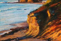 Laguna Coast 2016 18x24 Original Painting by Tom Swimm - 1 Laguna Coast 2016 18x24 Original Painting by Tom Swimm - 1