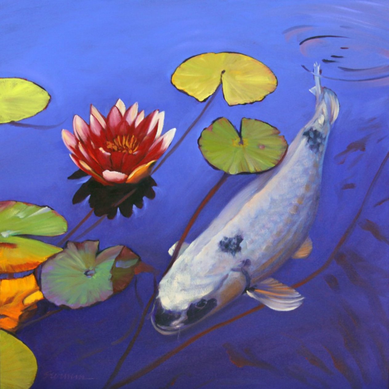 Lone Koi 2016 24x24 by Tom Swimm - For Sale on Art Brokerage