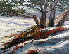 Along Scenic Drive Carmel Beach,  Monterey, California 17x20 - Golf Original Painting by Carol Swinney - 0