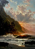 Behold the Summer Sun 48x38 - Huge - Hawaii - Koa Frame Limited Edition Print by Roy Tabora - 0
