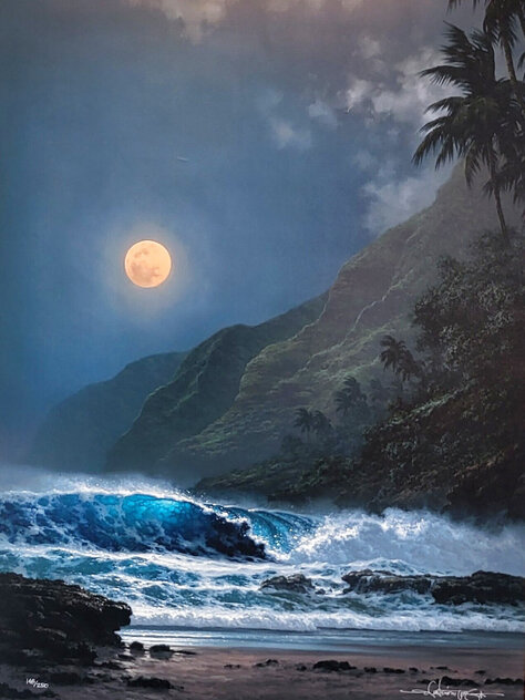 Moonlight Rhapsody Hawaii - Koa Frame by Roy Tabora - For Sale on