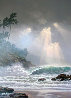 Through Days of Gray  Hawaii 2000 Embellished Limited Edition Print by Roy Tabora - 0
